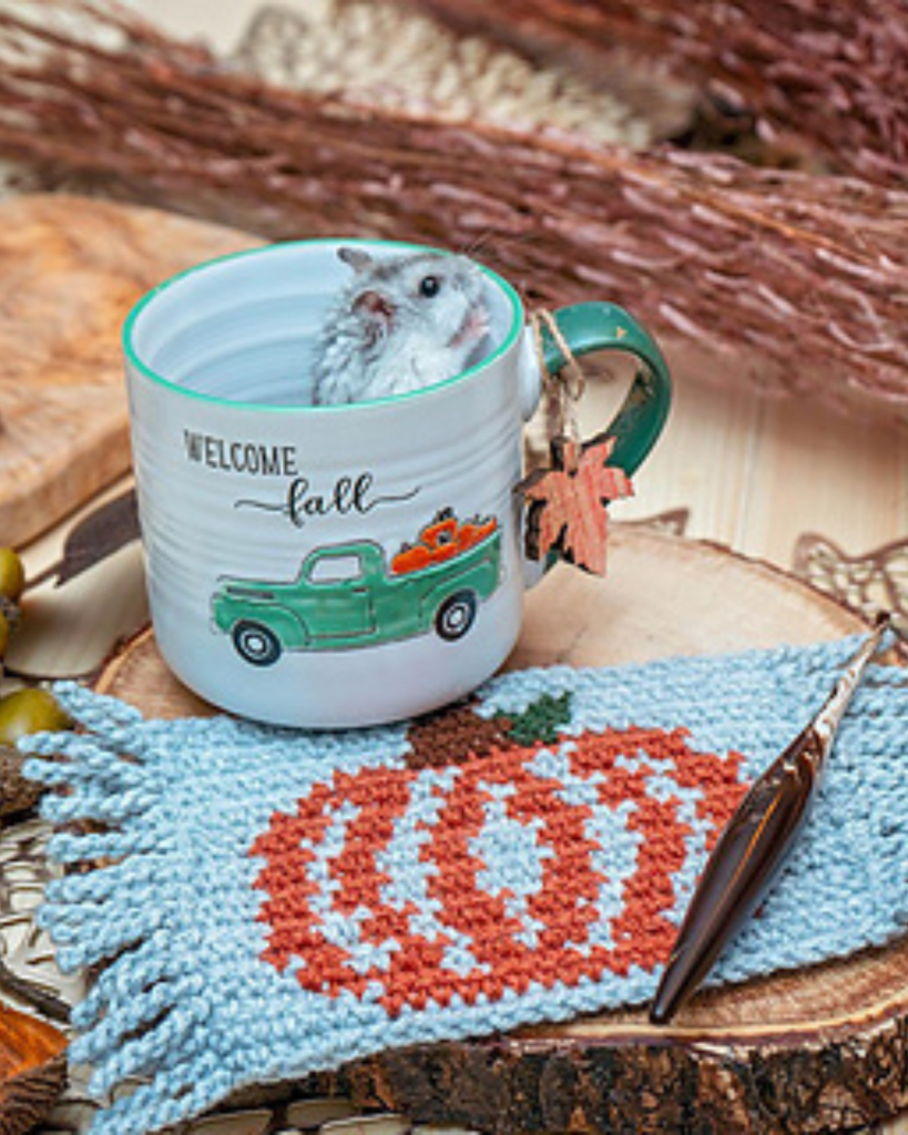 tapestry crochet pumpkin coaster