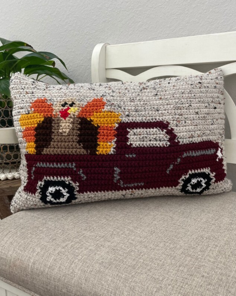 crochet pillow of turkey riding in truck